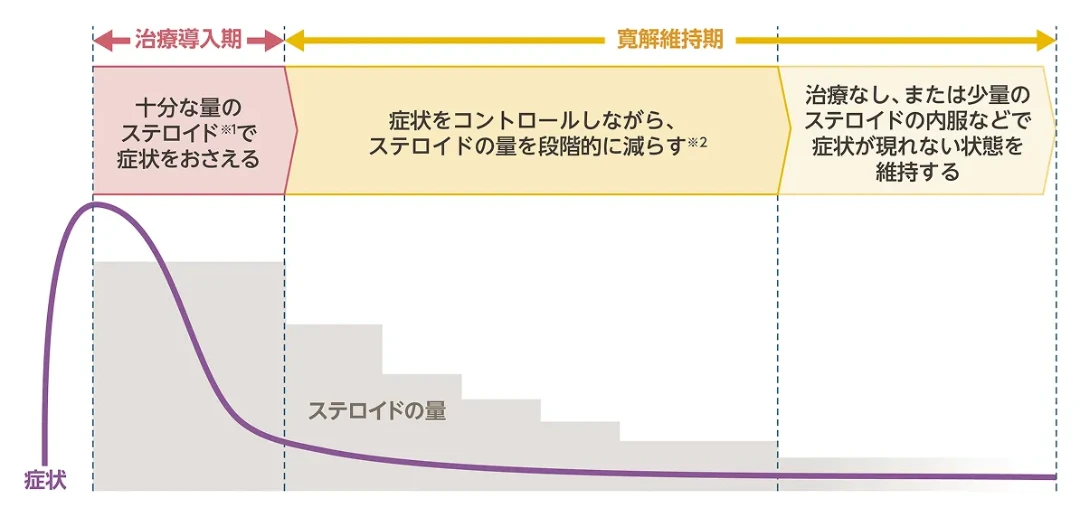 中等症以上の水疱性類天疱瘡の治療の流れとして、治療導入期に十分な量のステロイドで症状をおさえ、その後は寛解維持期として症状をコントロールしながらステロイドの量を段階的に減らし、最終的に治療なし、または少量のステロイド内服などで症状が現れない状態を維持する経過を示しています