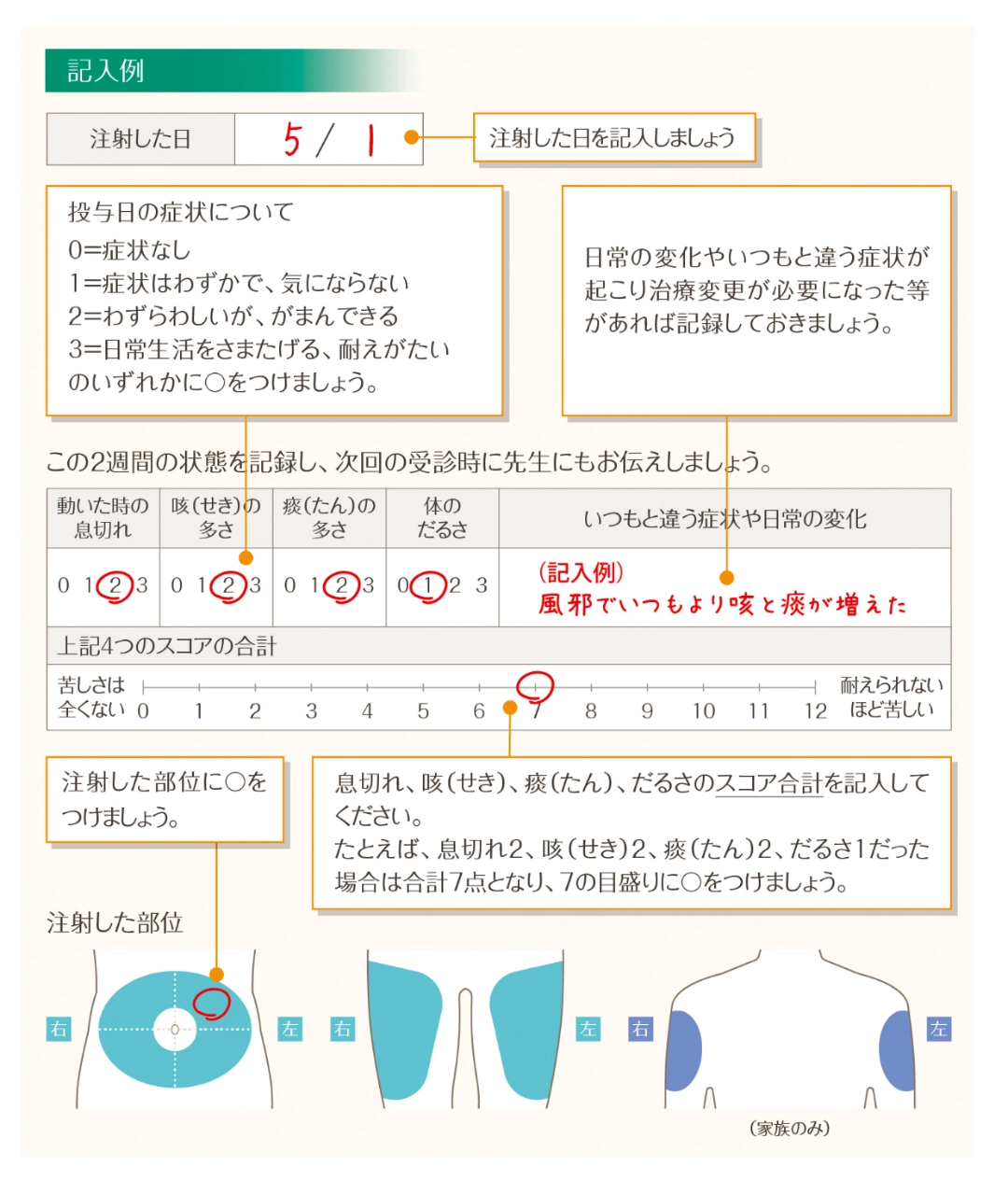 治療日誌の記入イメージ