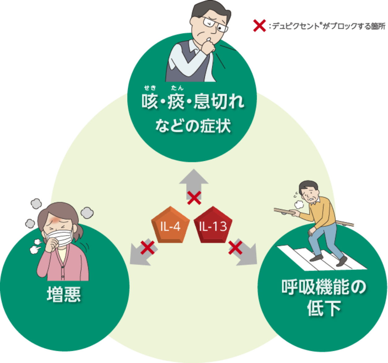 図1. デュピクセント®の働き