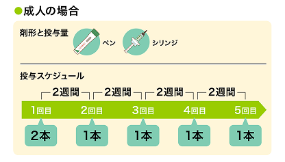 成人の投与量と投与スケジュールは、初回に600mg、その後は1回300mgを2週間隔です