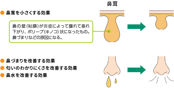 図1. 